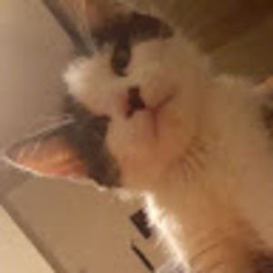 Meet your Posher, Star